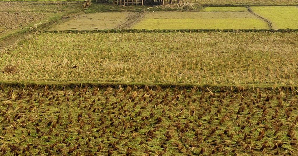 জমি ক্রয় বিক্রয়